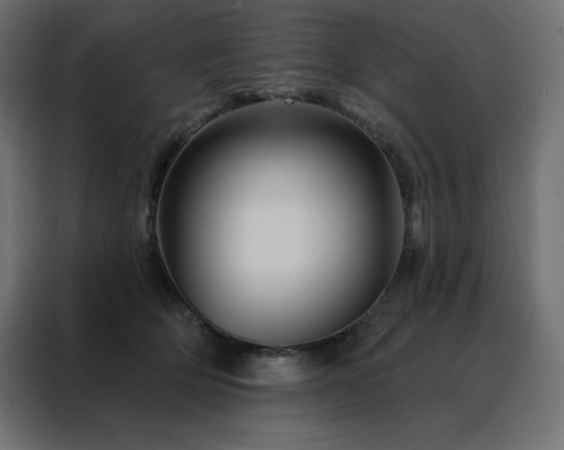 X0000088470514200705221406