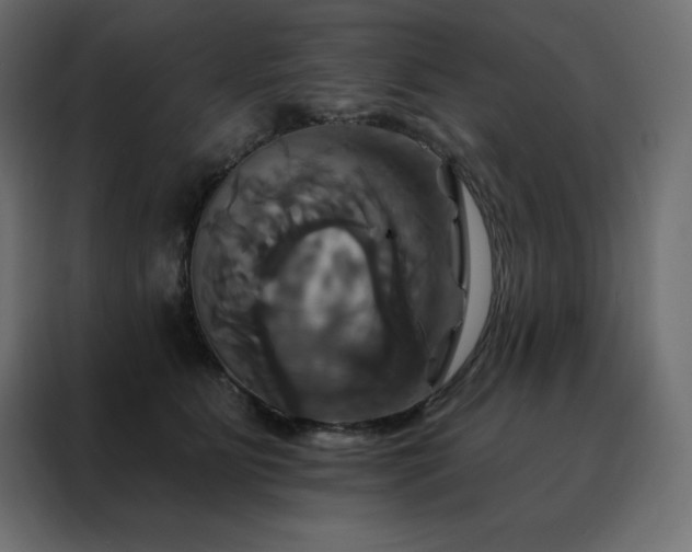 X0000088470515200705221406