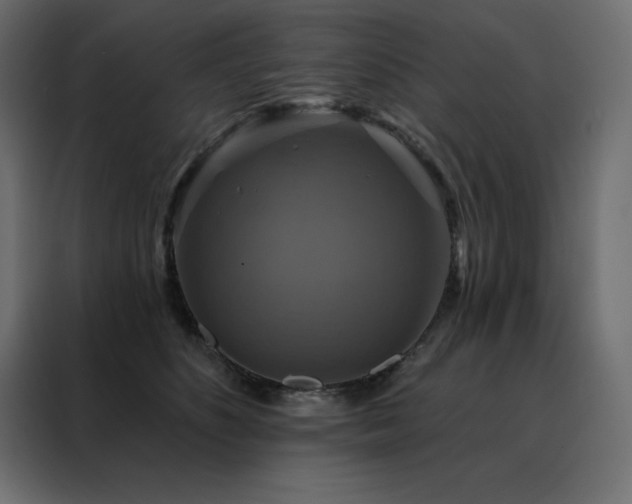 X0000088470516200705221406