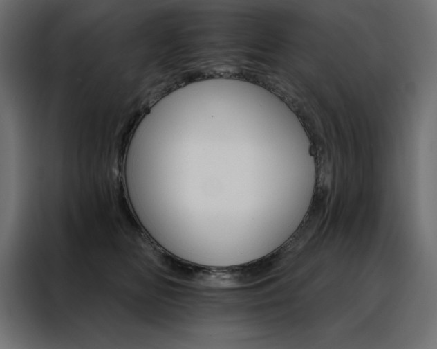 X0000088470518200705221405