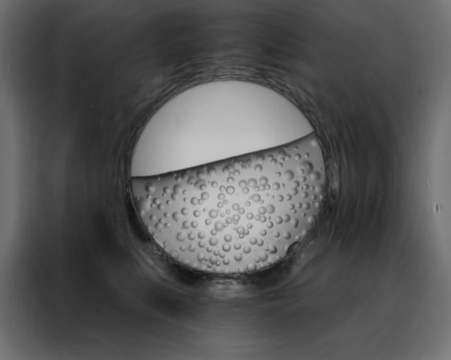 X0000088470519200705221405