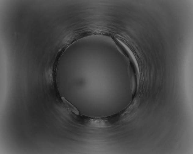 X0000088470520200705221405