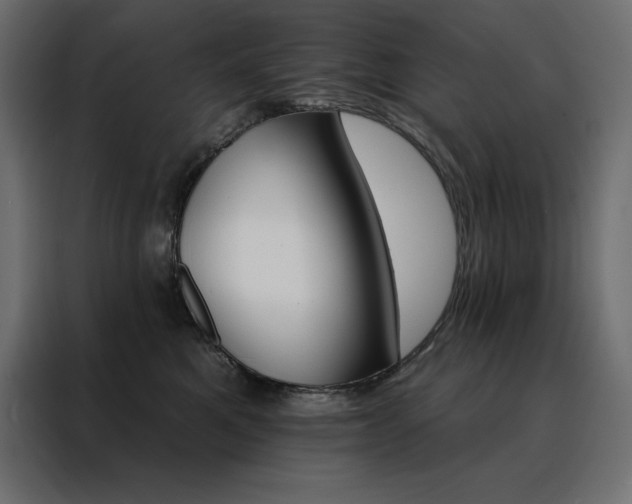 X0000088470521200705221405