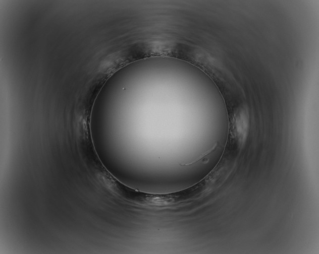 X0000088470522200705221405