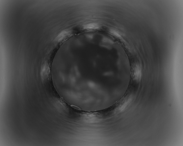 X0000088470523200705221405