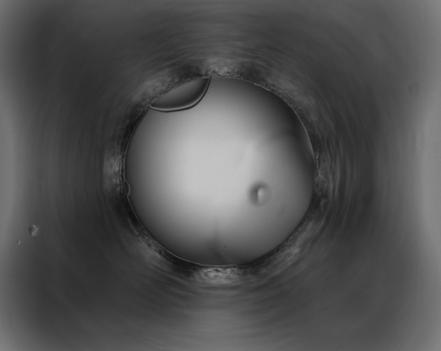 X0000088470526200705221405