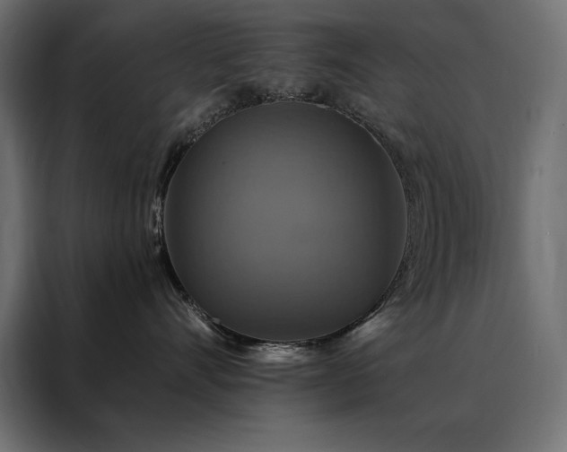 X0000088470528200705221405