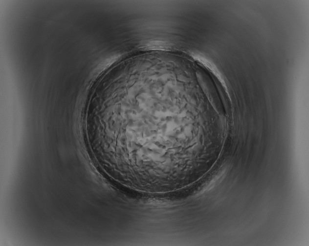 X0000088470529200705221405