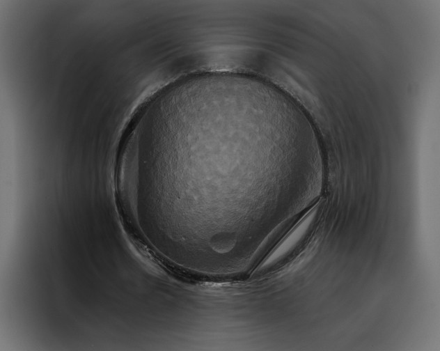 X0000088470530200705221405