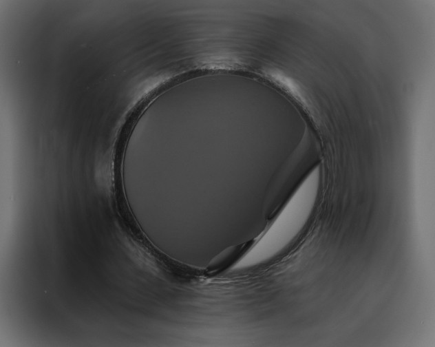 X0000088470531200705221405