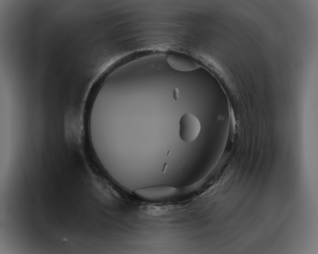 X0000088470532200705221405
