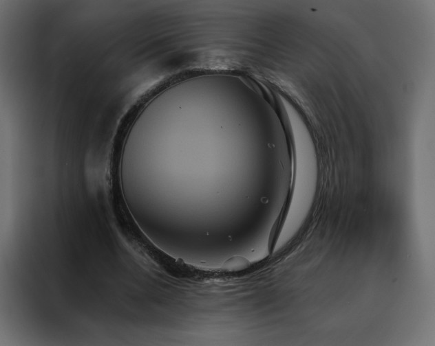 X0000088470536200705221405