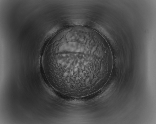 X0000088470537200705221405
