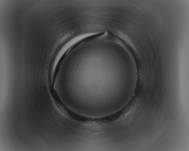 X0000088470538200705221405