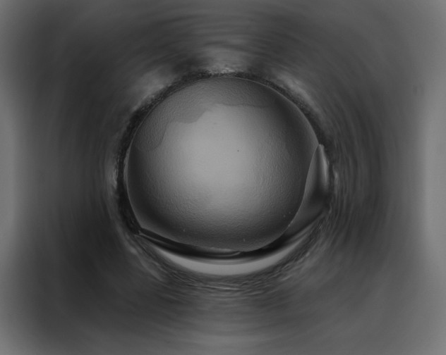 X0000088470539200705221405