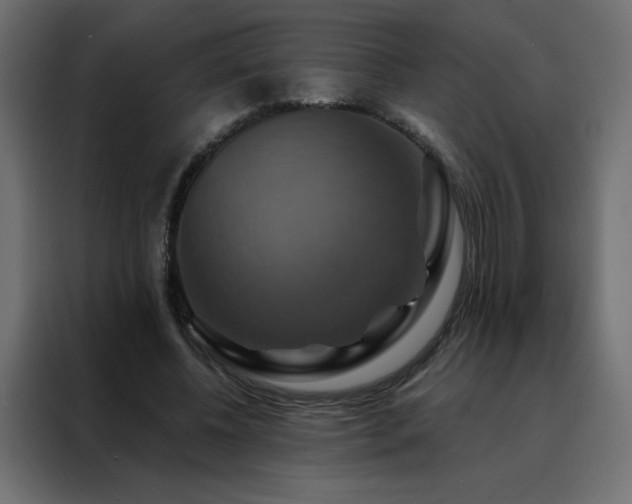 X0000088470540200705221405