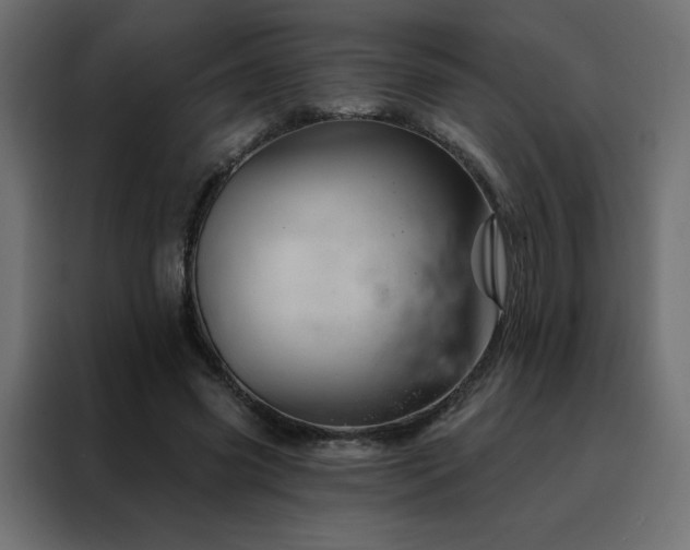 X0000088470541200705221405