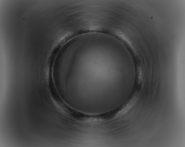 X0000088470542200705221405