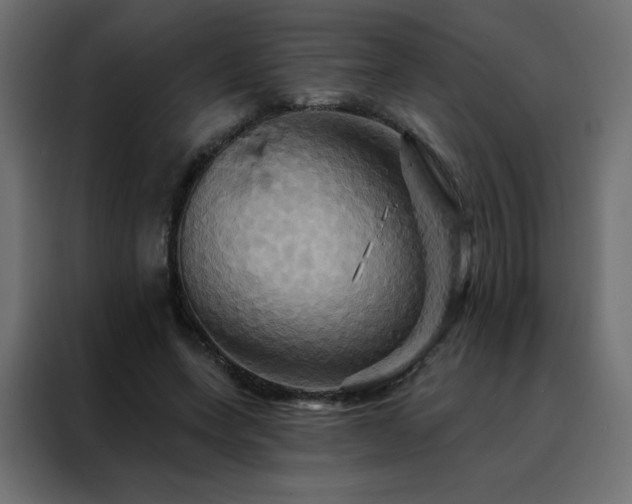 X0000088470543200705221405