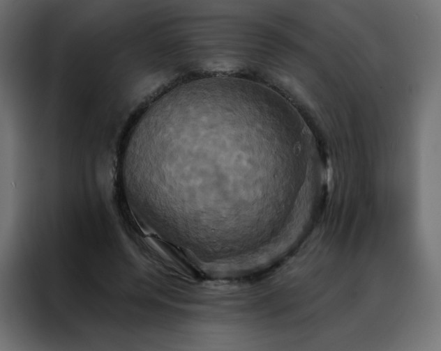 X0000088470544200705221405