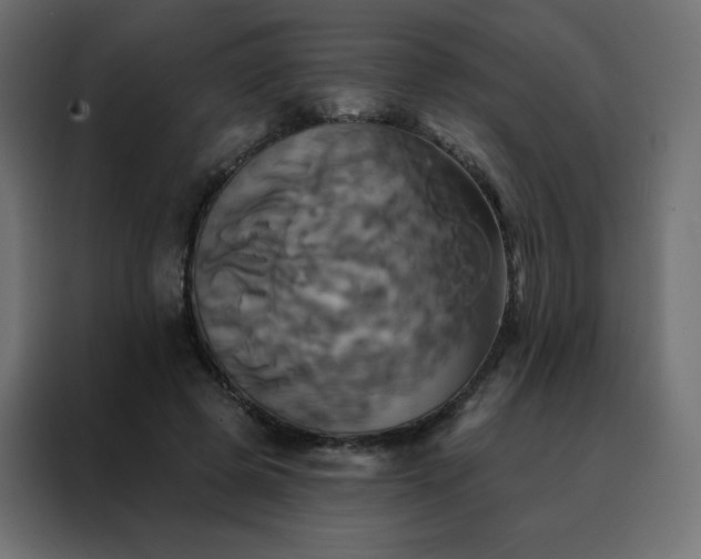 X0000088470545200705221405