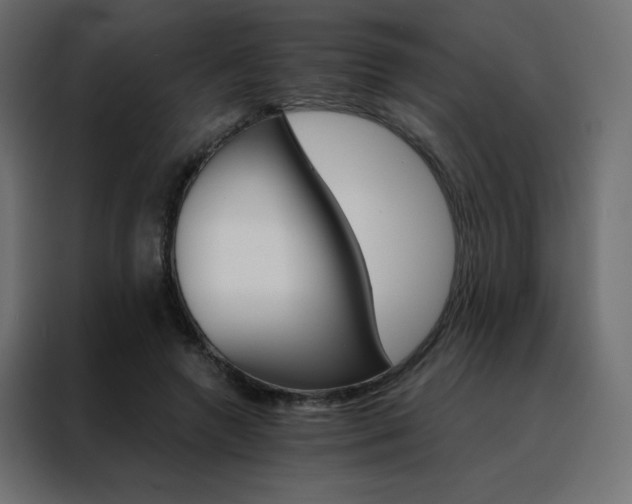 X0000088470546200705221405