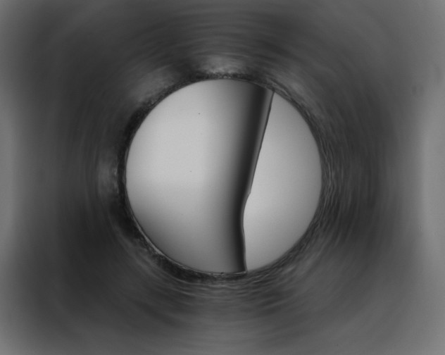 X0000088470547200705221405