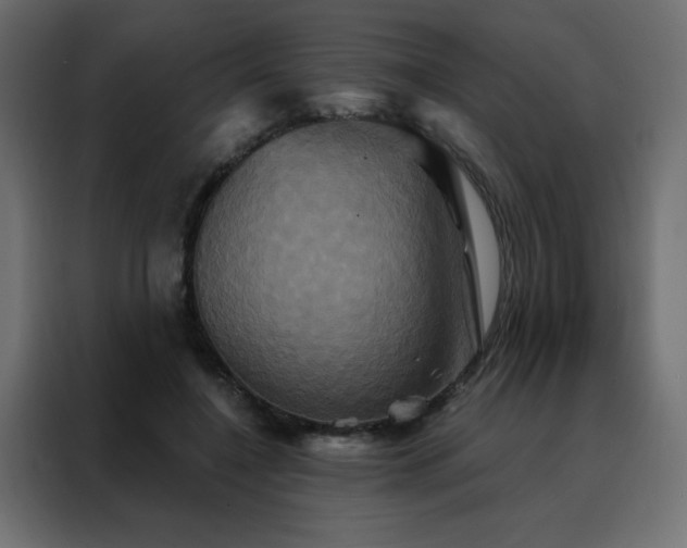 X0000088470548200705221405