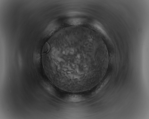 X0000088470549200705221405