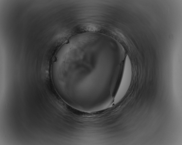 X0000088470553200705221405