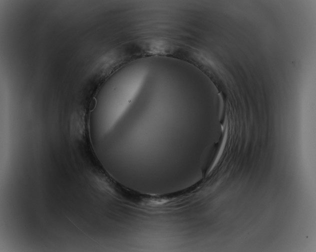 X0000088470554200705221405