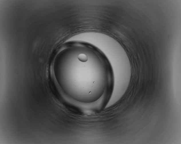 X0000088470556200705221405