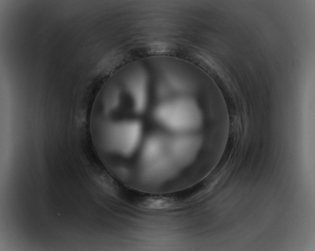 X0000088470557200705221405