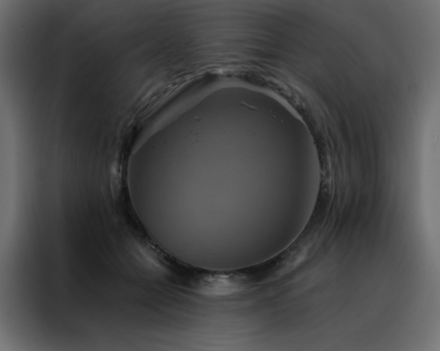 X0000088470558200705221405