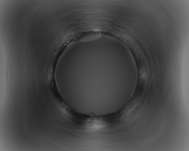 X0000088470559200705221405