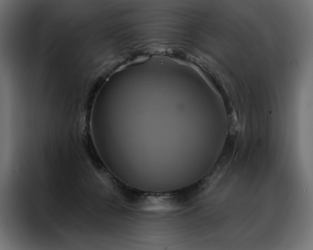 X0000088470560200705221405