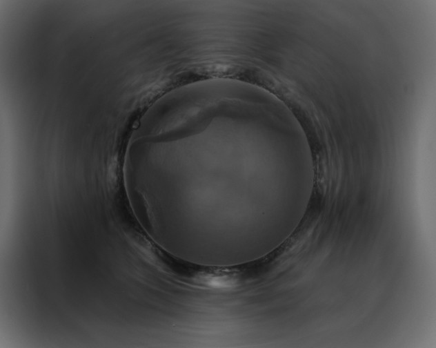 X0000088470563200705221405