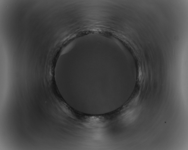 X0000088470566200705221405