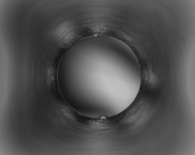 X0000088470567200705221405