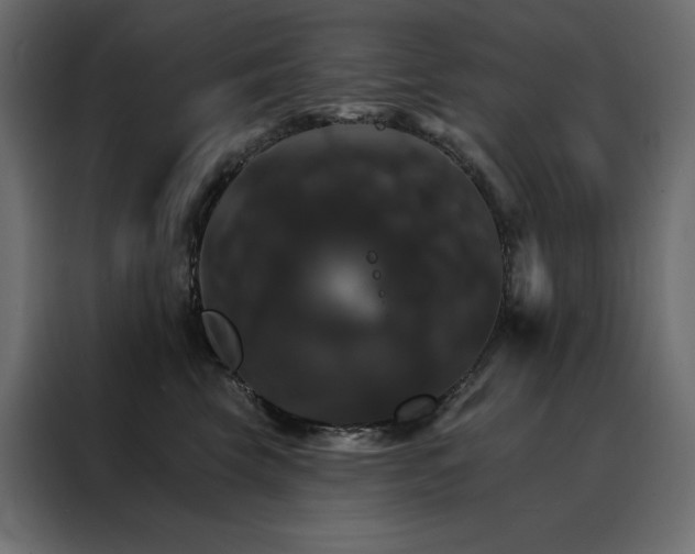 X0000088470569200705221405