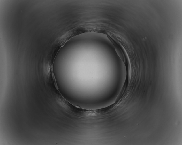 X0000088470574200705221405