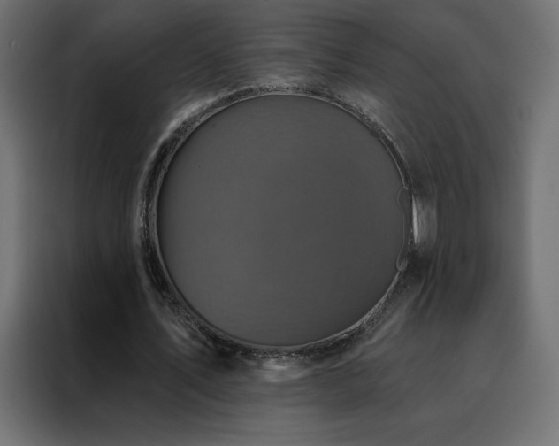 X0000088470579200705221405