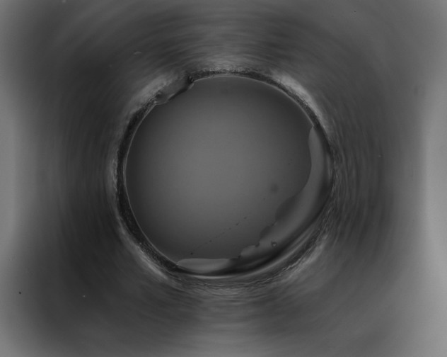 X0000088470581200705221405