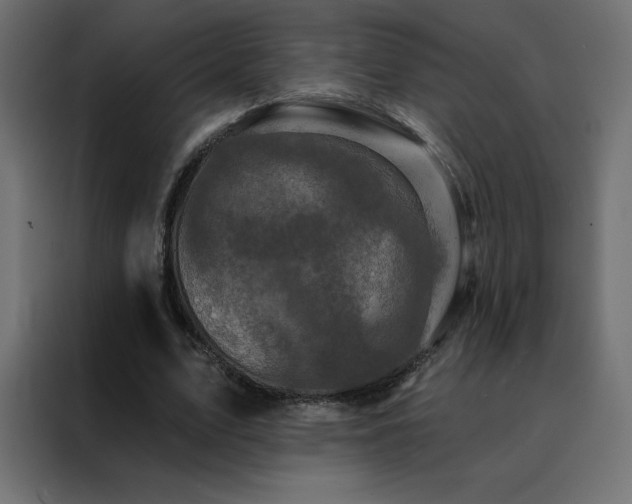 X0000088470583200705221405