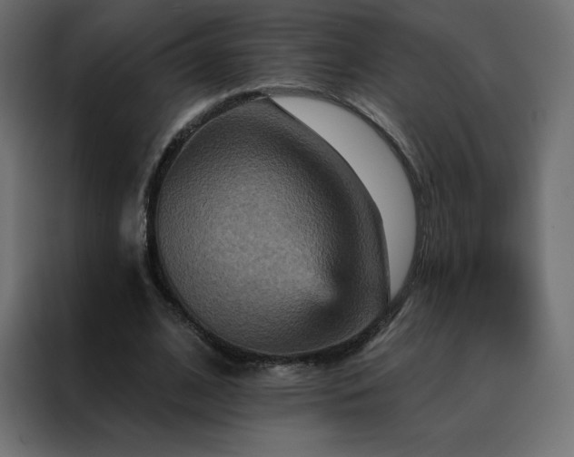 X0000088470584200705221405