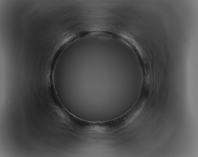 X0000088470585200705221405