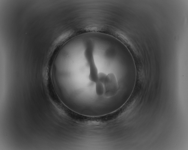 X0000088470586200705221405