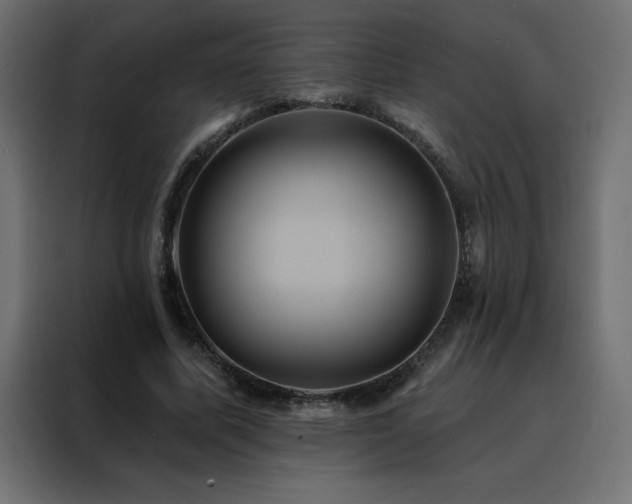 X0000088470587200705221405