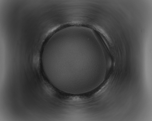 X0000088470588200705221405