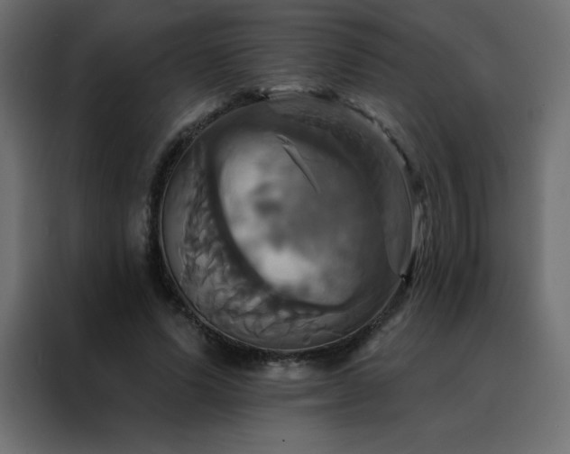X0000088470591200705221405